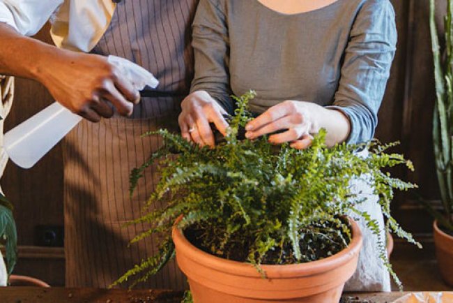 Nurture Your Marriage