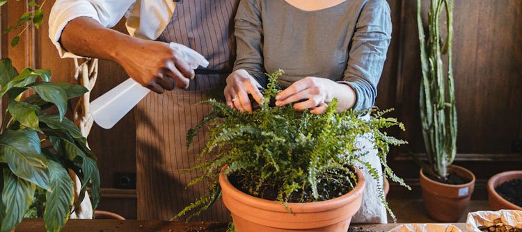 Nurture Your Marriage